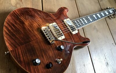 Signature Hollowbody
